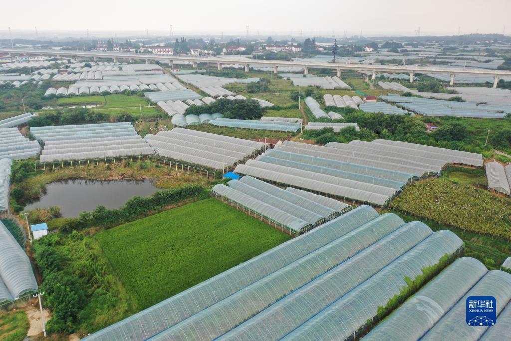 利记备用网址